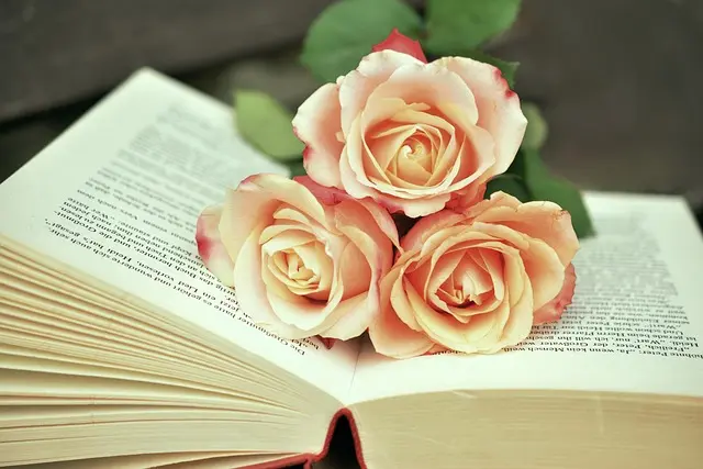 Discover the Best-Selling Books Everyone is Talking About