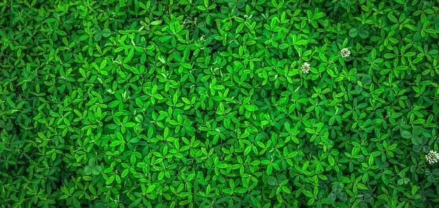 Best Eco-Friendly Home Improvement Products
